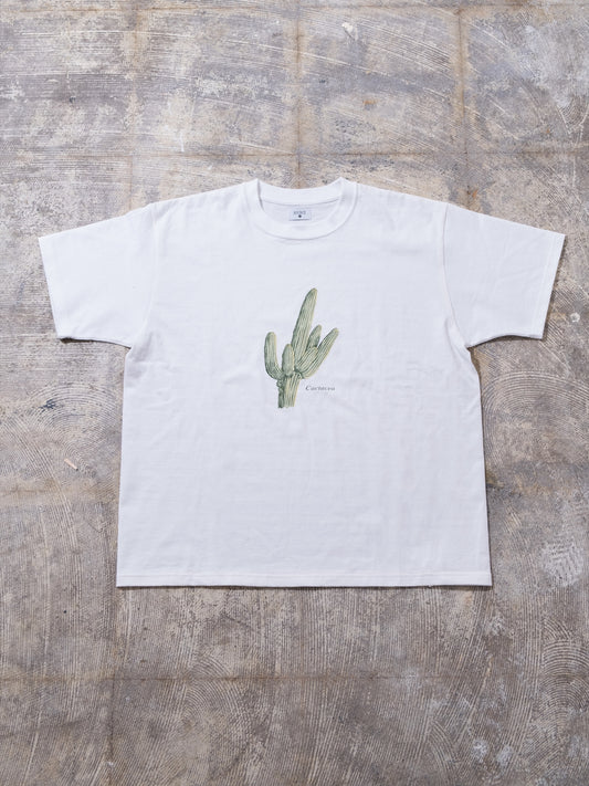 CACTUS - WHITE