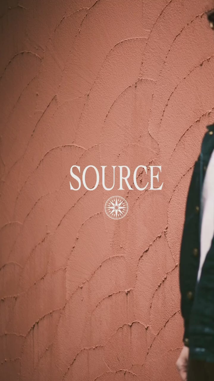 動画を読み込む: 